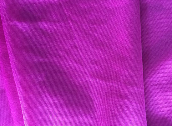 Tecido de malha de nylon Tecido Dyeable